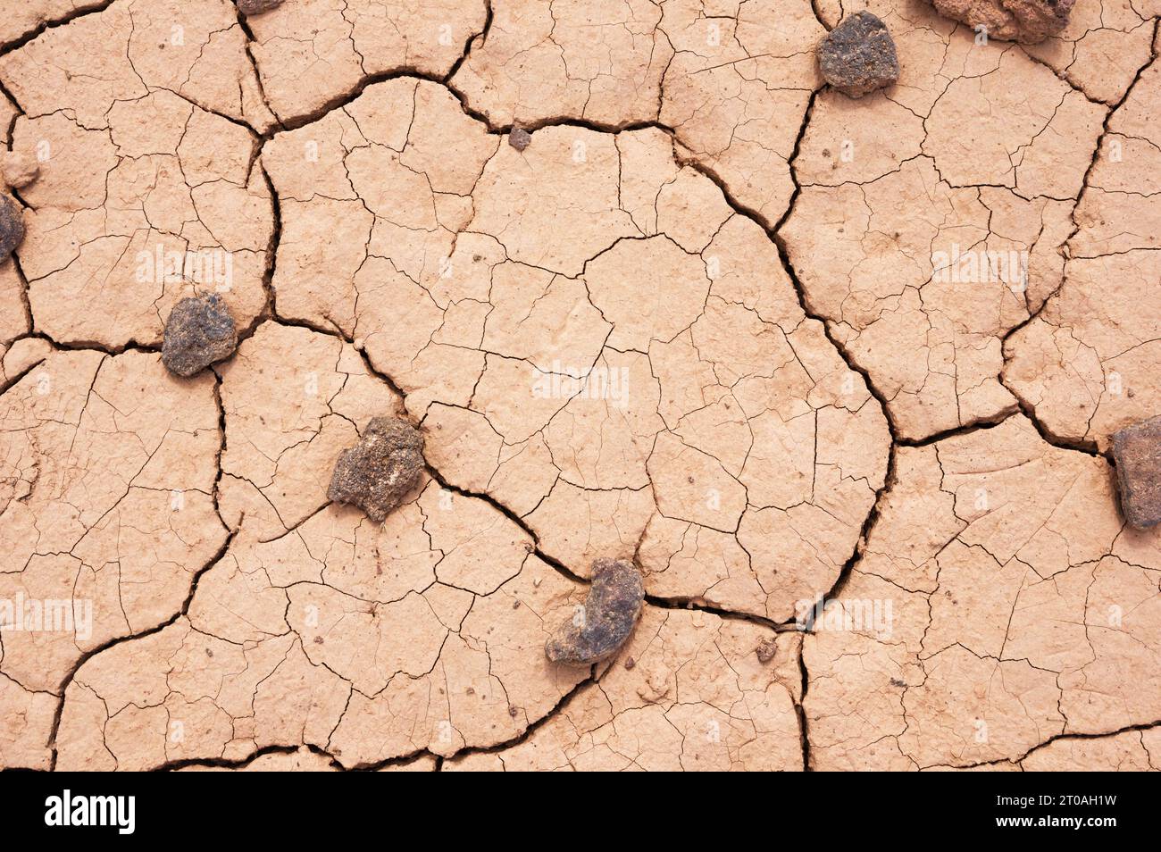 terreno asciutto nel deserto con crepe di fango e rocce Foto Stock