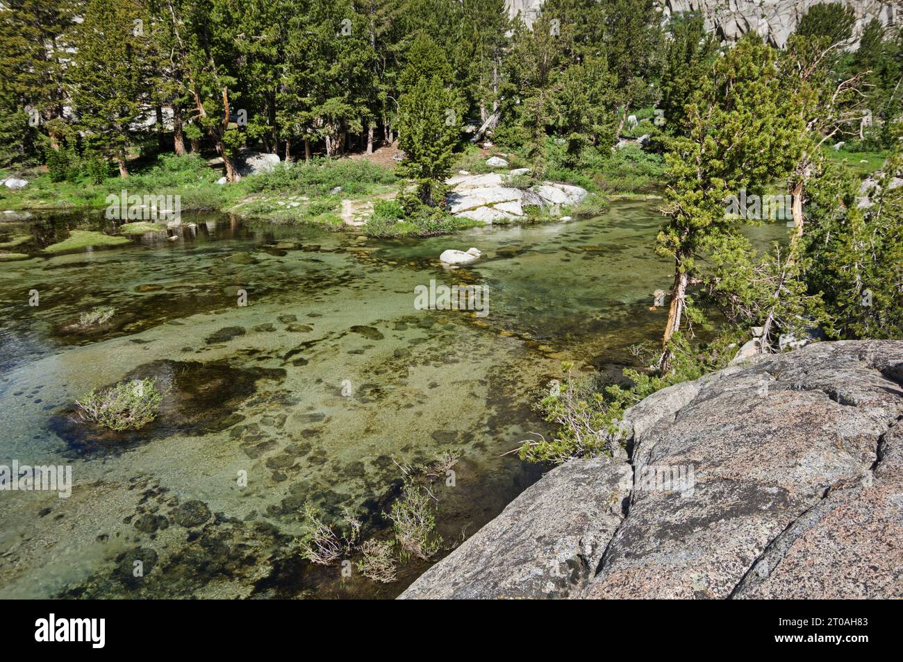Sassi che attraversano un torrente della Sierra Nevada sott'acqua da alti livelli di scioglimento della neve Foto Stock