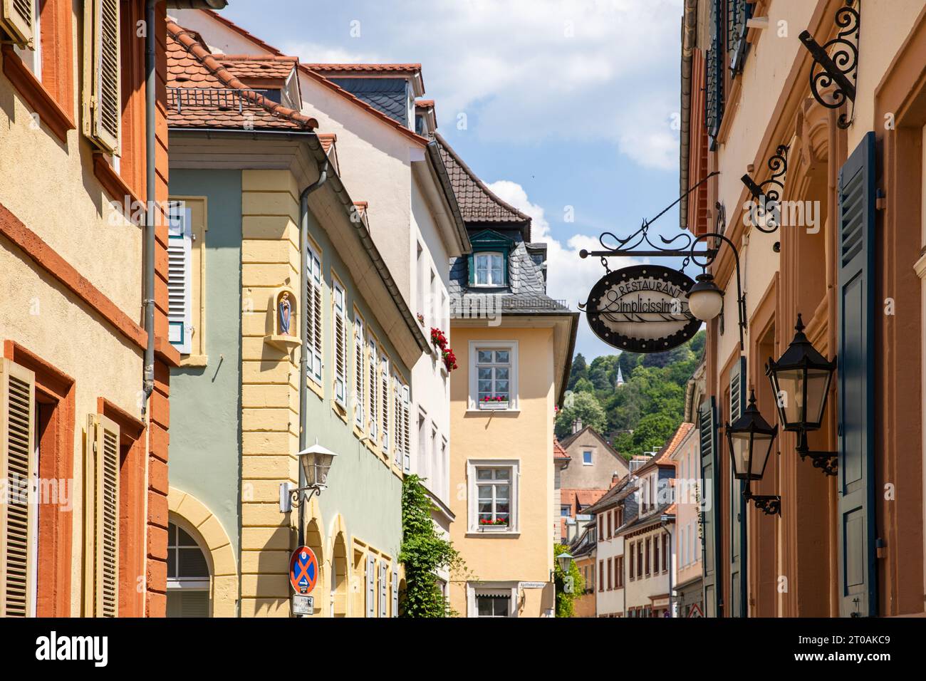 Accattivante Heidelberg: Una pittoresca veduta delle strade della città vecchia con case storiche in estate (destinazione Trvael in Germania) Foto Stock