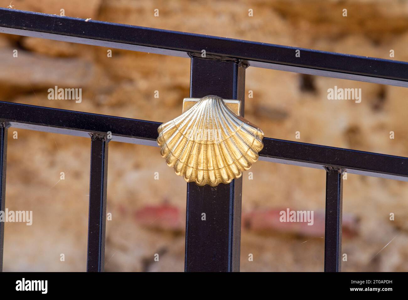 Il logo della conchiglia di capesante è il simbolo del cammino di Santiago, percorso di pellegrinaggio a lunga distanza attraverso la campagna spagnola in Spagna Foto Stock