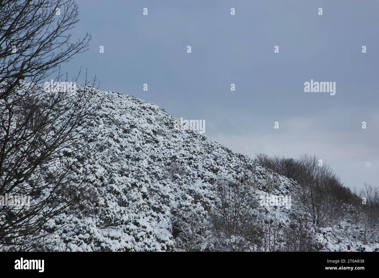 Collina innevata in Scozia in inverno Foto Stock