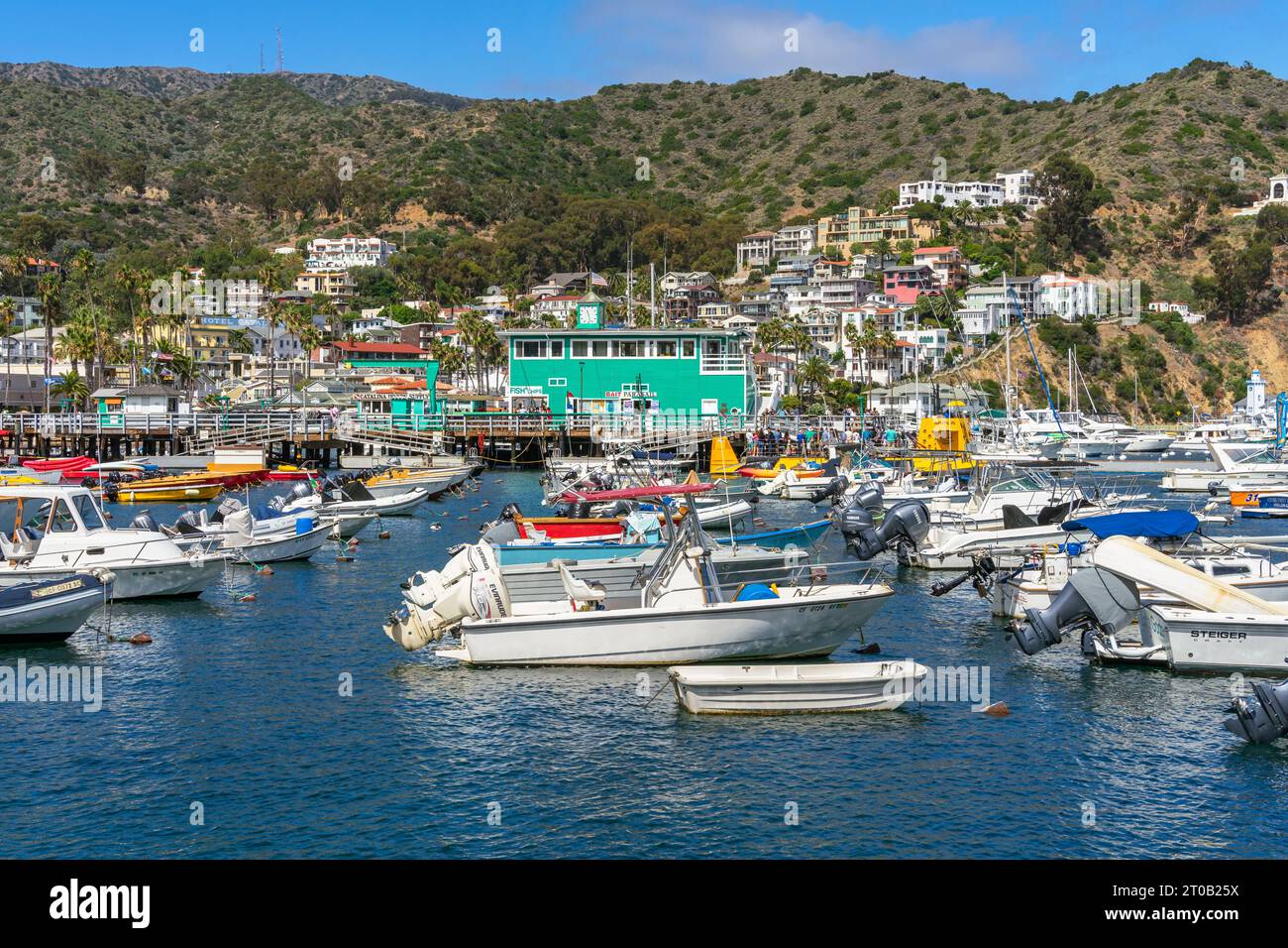 Avalon, CA, USA - 13 settembre 2023: Barche nel porto con case su una collina nella città di Avalon, California, sull'isola di Santa Catalina. Foto Stock