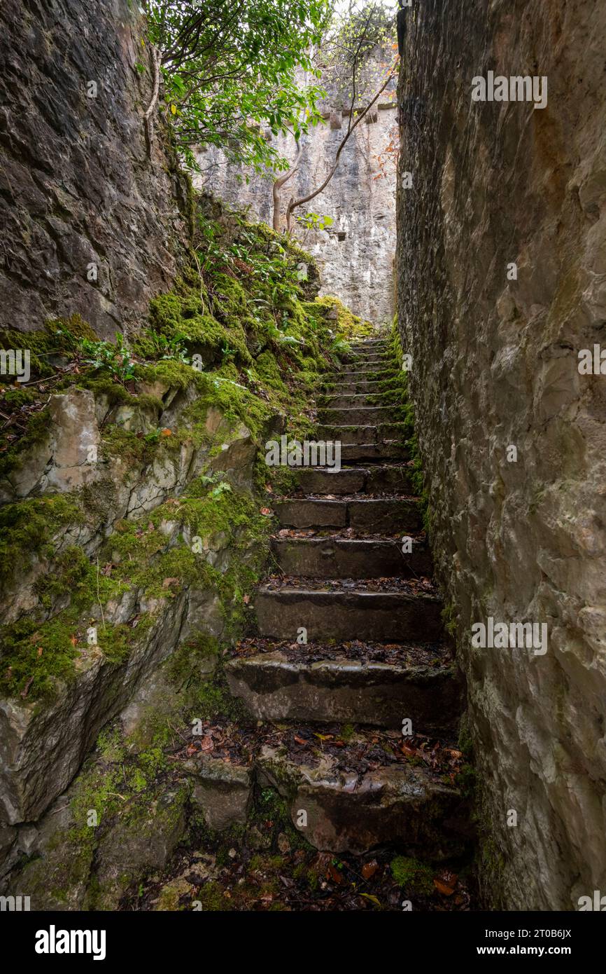 Gwrych Castle, Abergele, Galles del Nord. Una casa di campagna del XIX secolo in fase di restauro e aperta al pubblico. Foto Stock