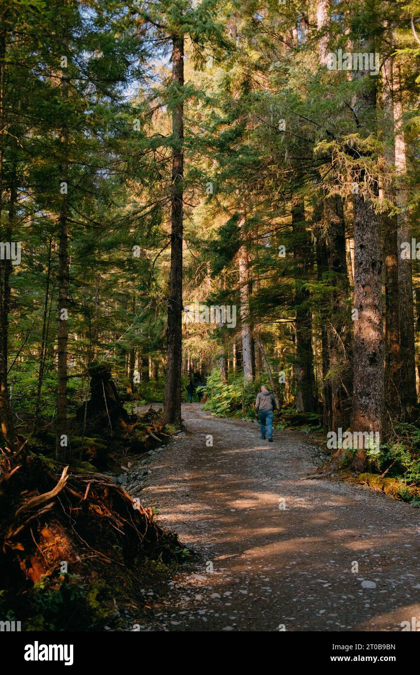 Persona che cammina nel bosco Foto Stock
