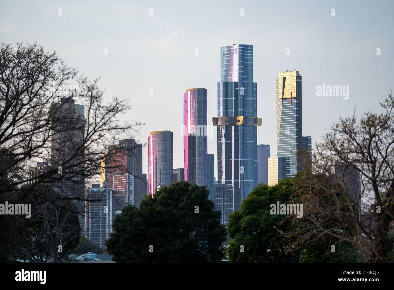 Incredibile Australia in un viaggio nella giungla e nella città, per vedere tutto, dallo skyline di Sydney alla fauna selvatica di Cairns. Foto Stock