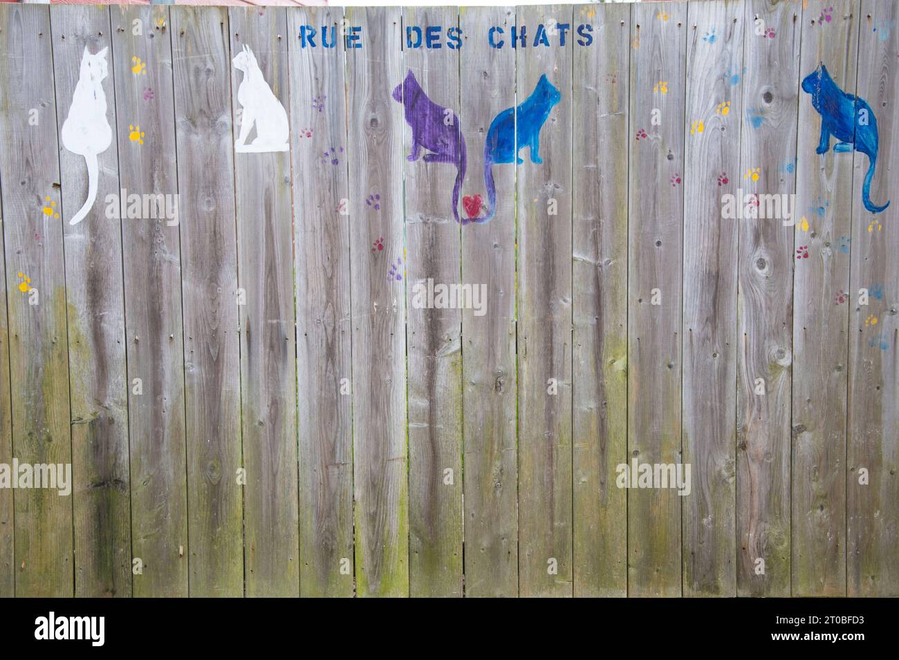 Street of Cats o Rue des Chats stampigliati su una recinzione di legno in St Pierre, Francia Foto Stock