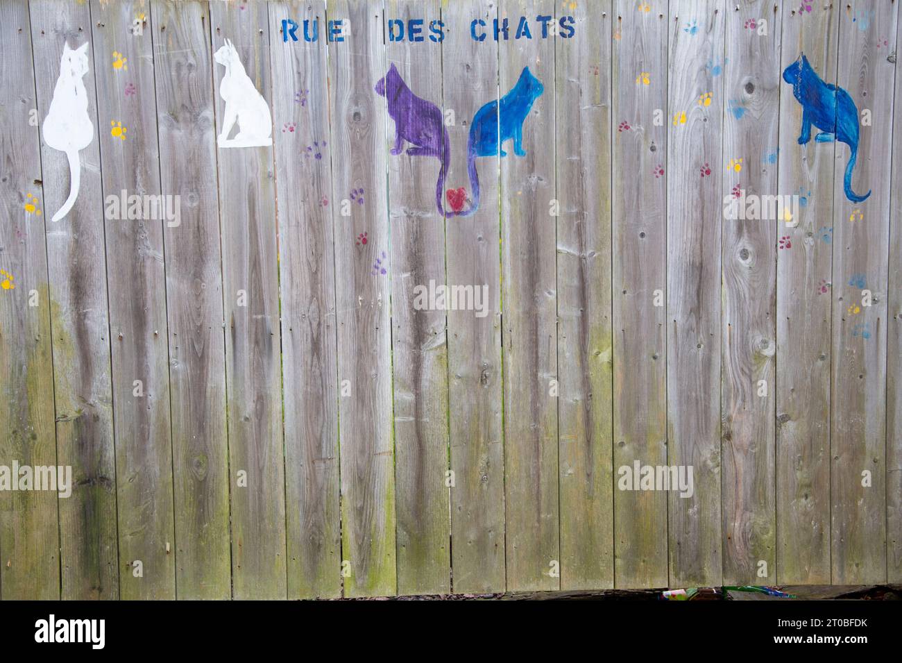 Street of Cats o Rue des Chats stampigliati su una recinzione di legno in St Pierre, Francia Foto Stock