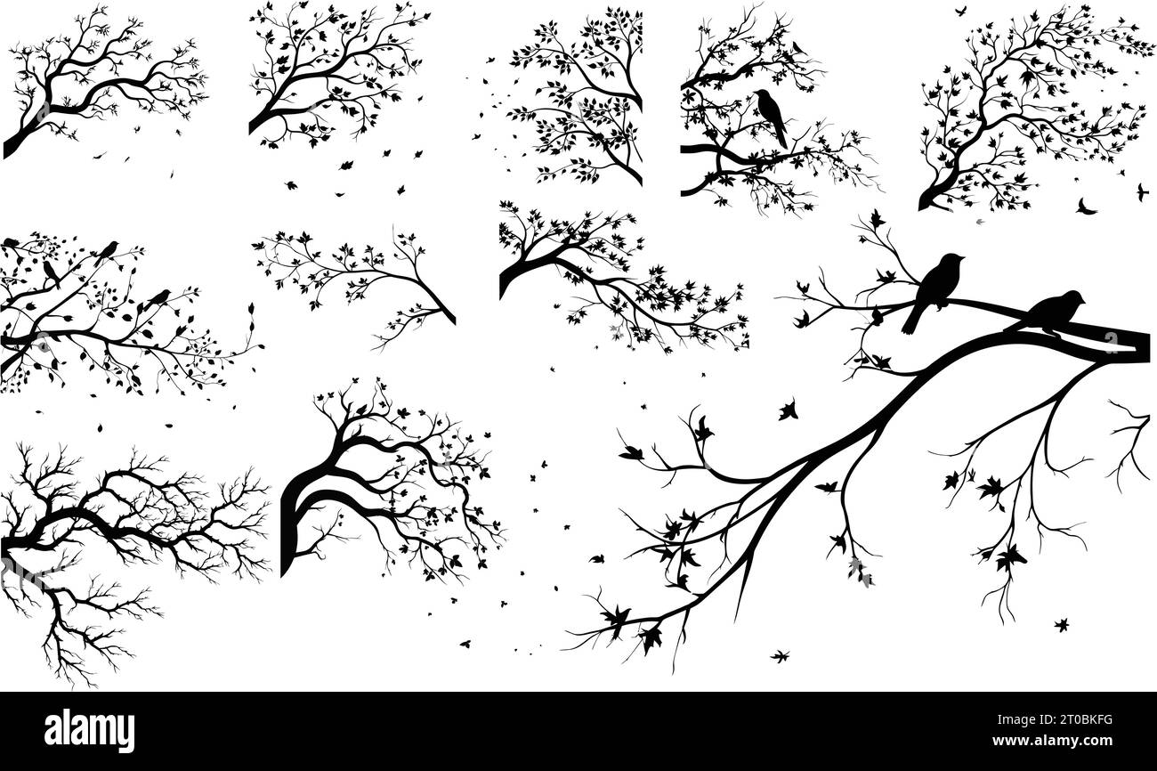 Serie realistica di rami d'albero silhouette illustrazione vettoriale .Eps10. Illustrazione Vettoriale