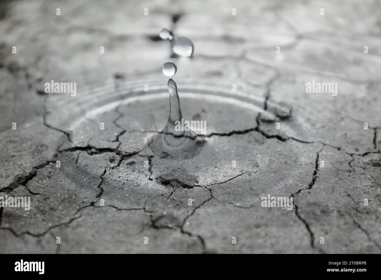 Salvare l'ambiente. Gocce d'acqua che cadono su terreni asciutti incrinati, effetto bianco e nero Foto Stock