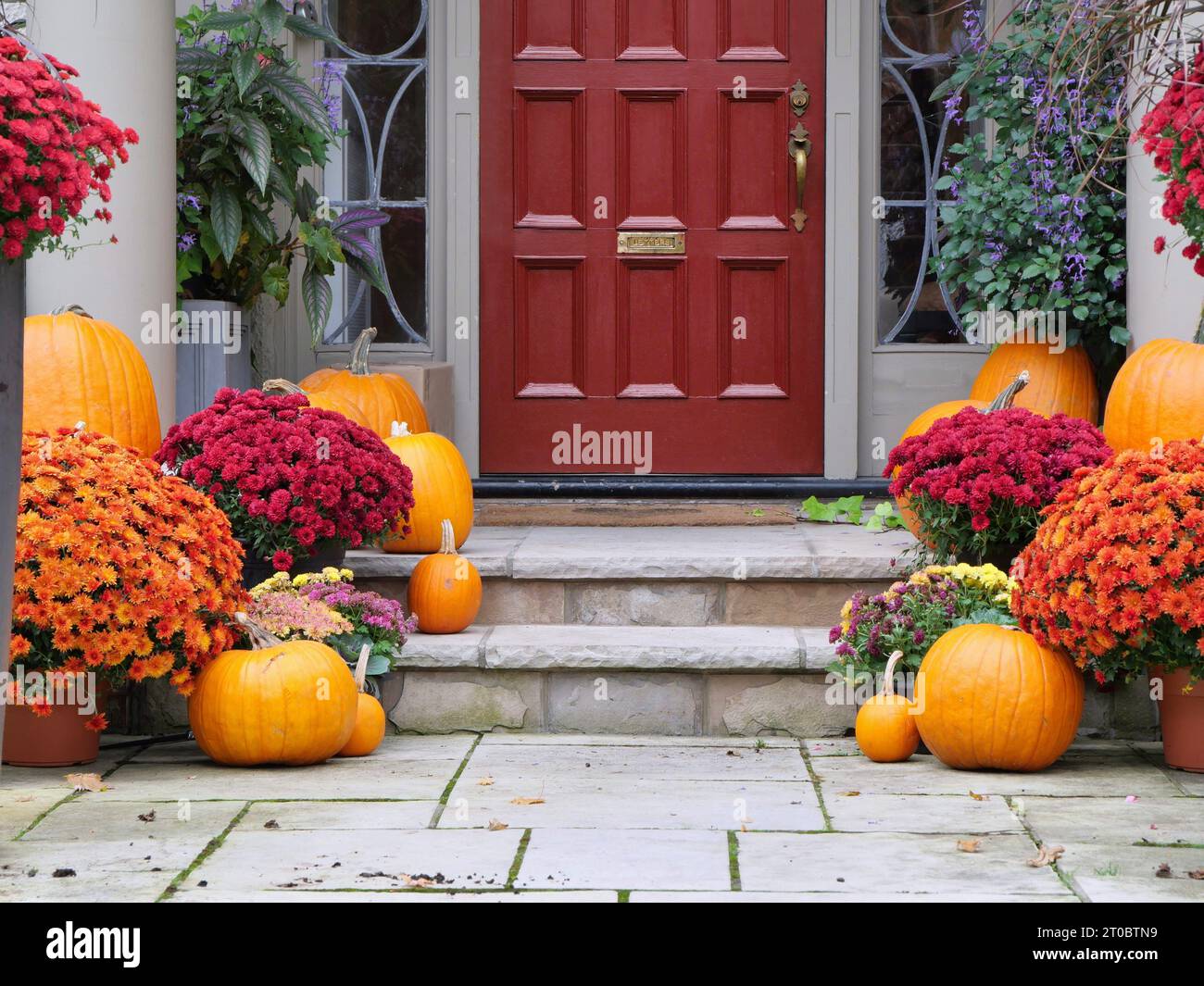 Gradini anteriori della casa con decorazioni autunnali, fiori e zucche Foto Stock