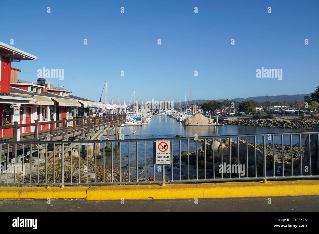 Affacciato sulla Marina dal molo di Monterey Bay. Foto Stock