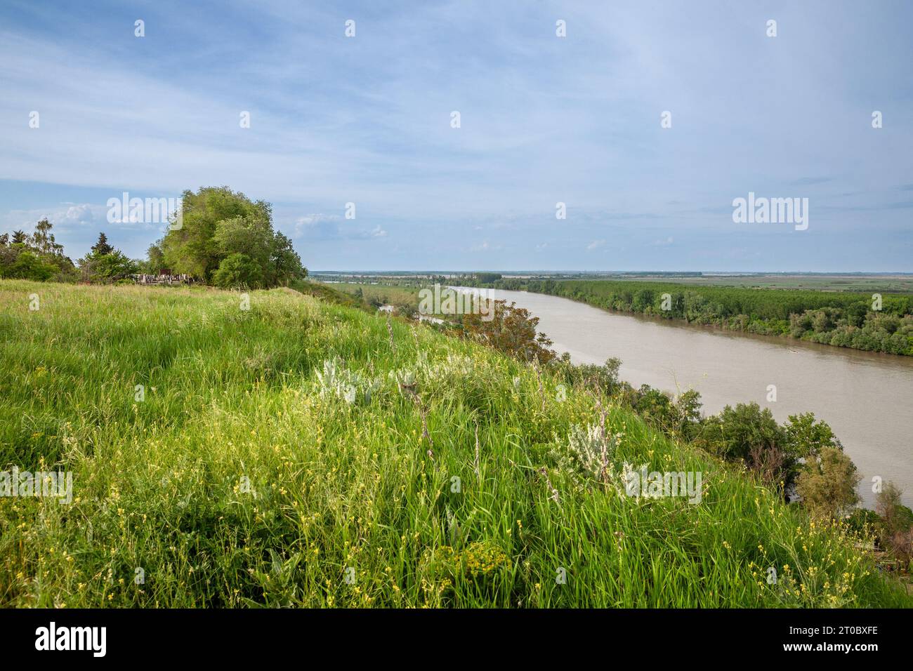 Immagine di un campo e di un cielo blu in estate, sul bregg di titelski, o collina di titel, vicino al fiume tisa. Il Tisza, Tysa o Tisa, è uno dei maggiori fiumi o Foto Stock