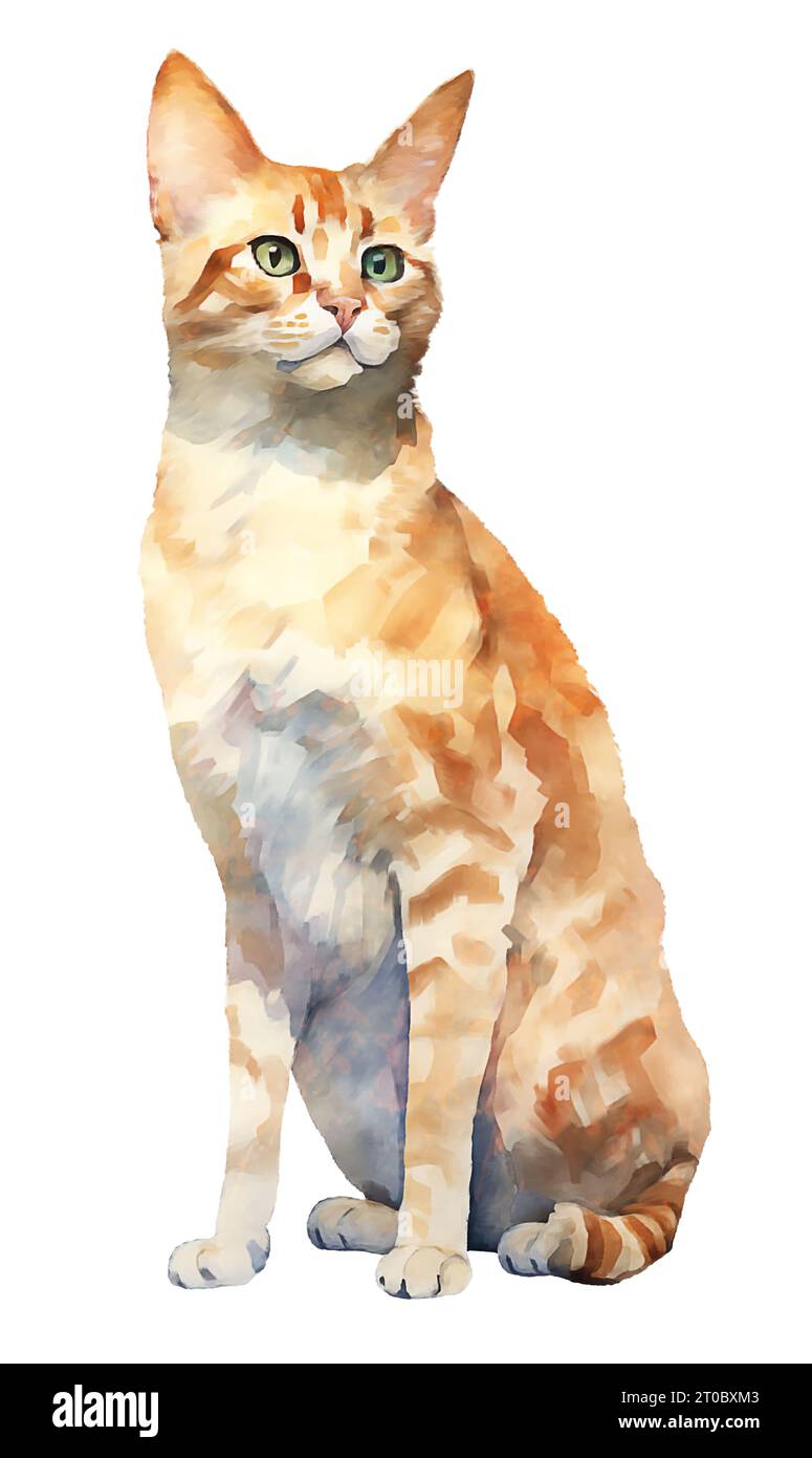 Pittura digitale ad acquerello di Arancio Cat isolato su sfondo bianco. Foto Stock