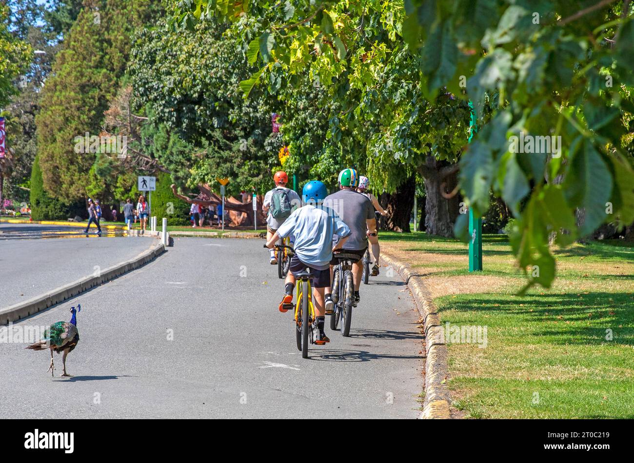 In bicicletta attraverso il Beacon Hill Park a Victoria, Isola di Vancouver Foto Stock