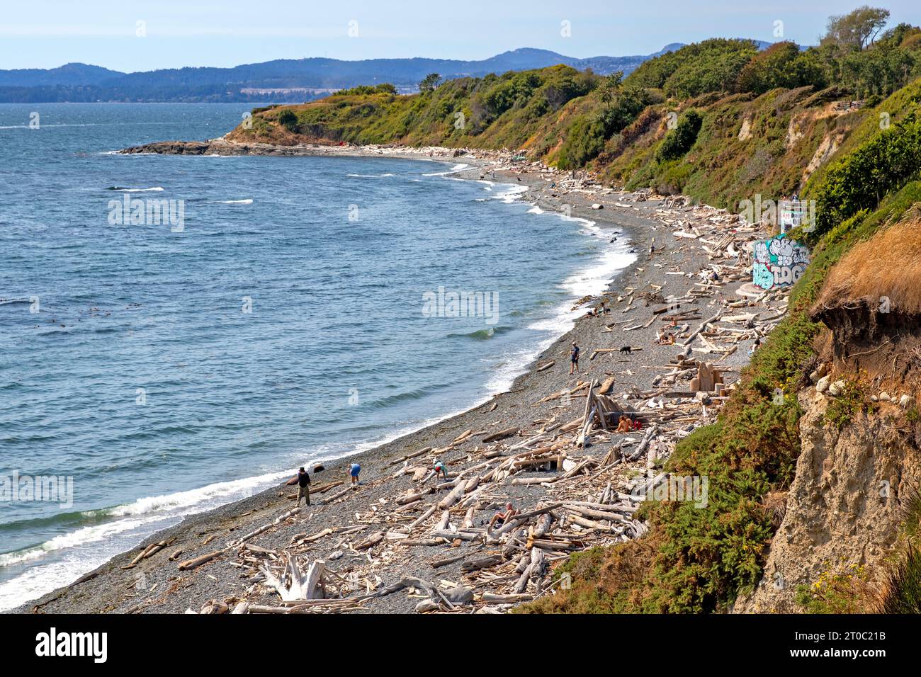 Spiral Beach disseminata di Driftwood a Victoria, Vancouver Island Foto Stock