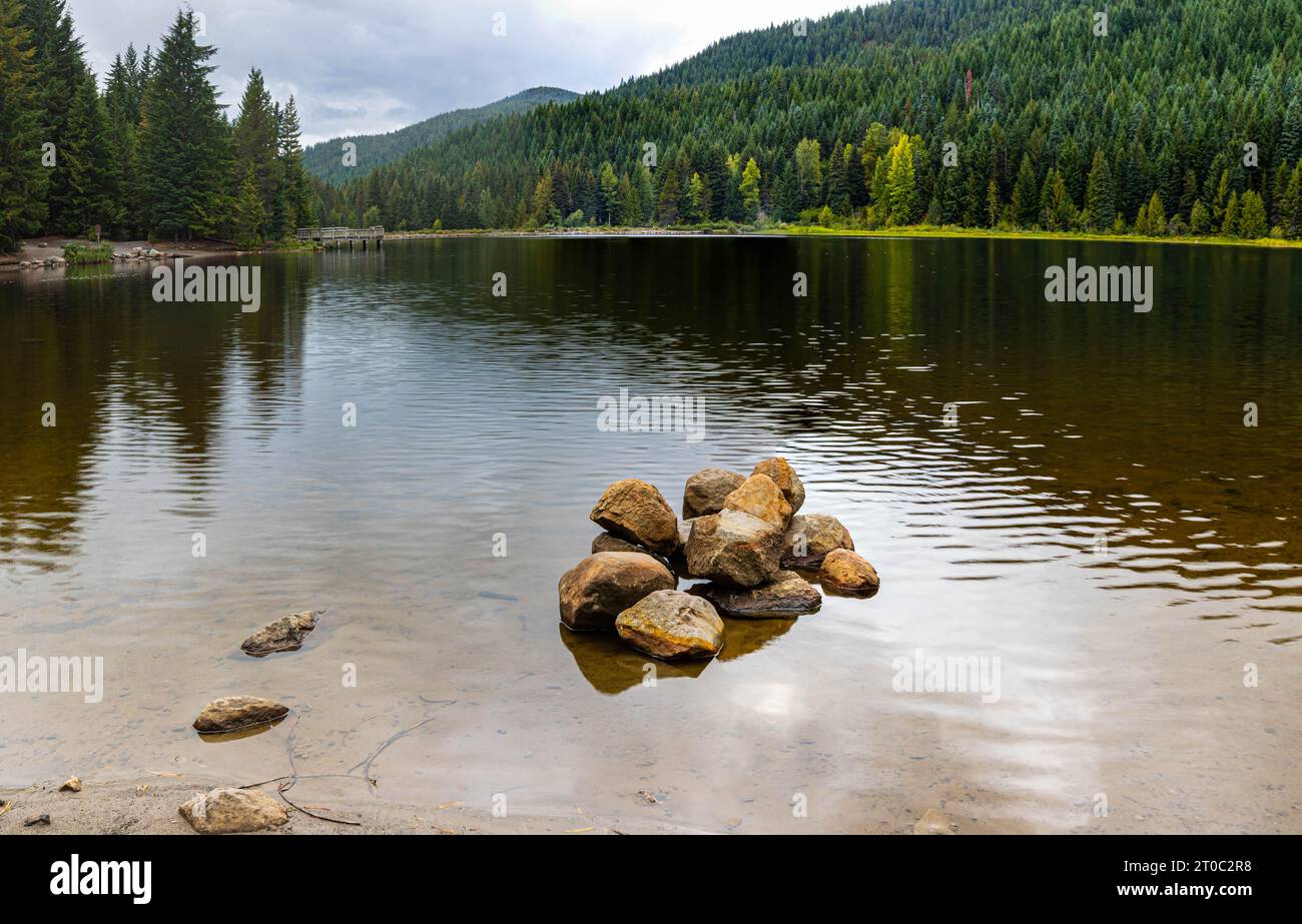 Pine Forest sulla riva del lago Trillium, Mount Hood National Forest, Oregon, USA Foto Stock