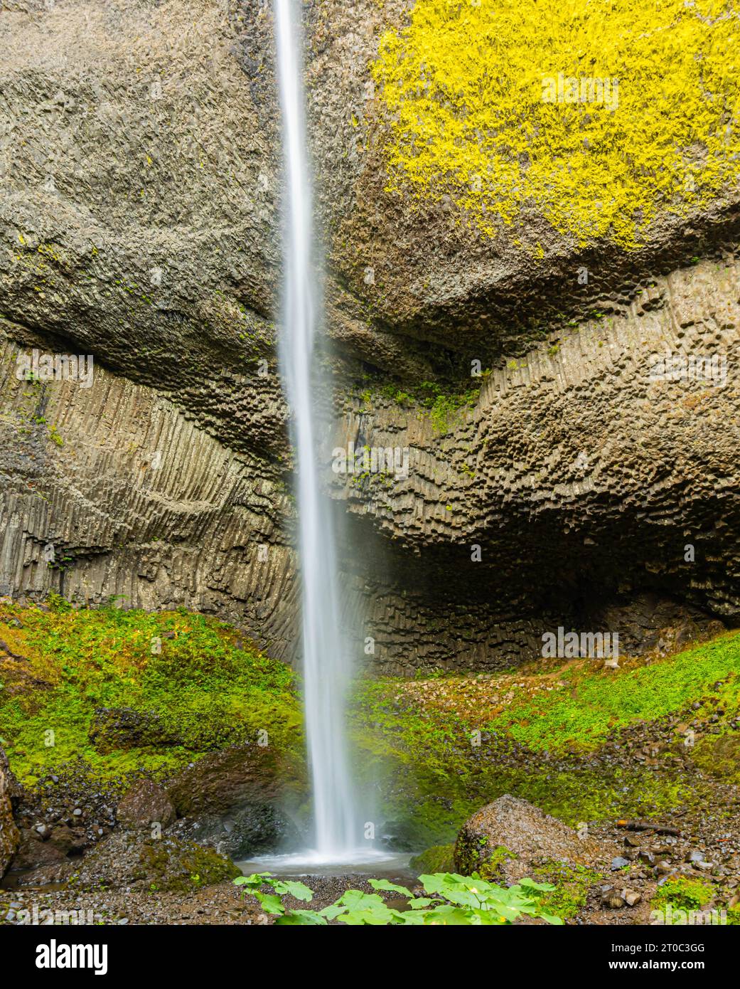 Cascate Latourell al Guy W. Talbot State Park, Columbia River Gorge, Oregon, USA Foto Stock