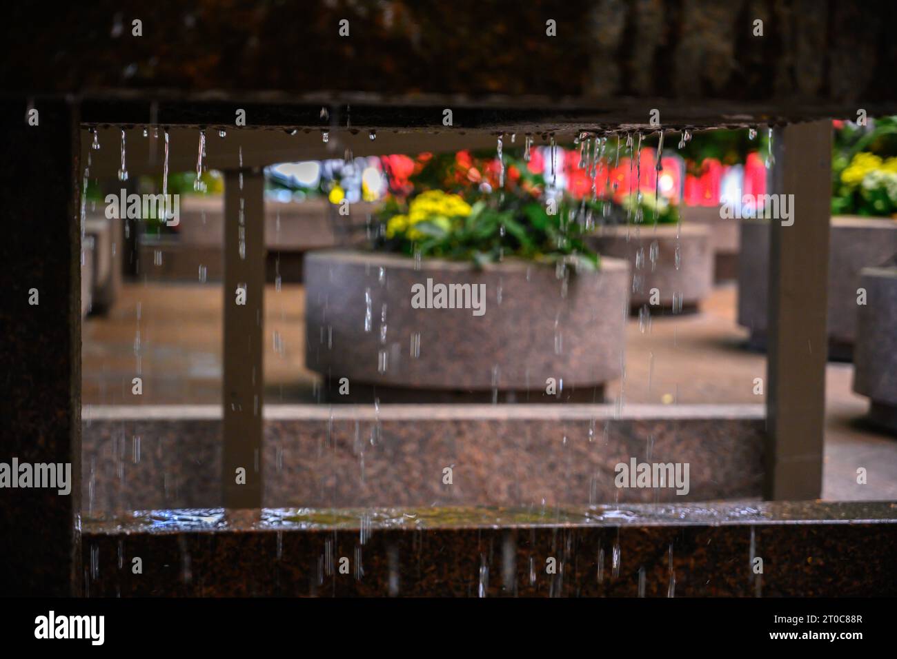Elemento d'acqua in pietre con fiori sullo sfondo Foto Stock