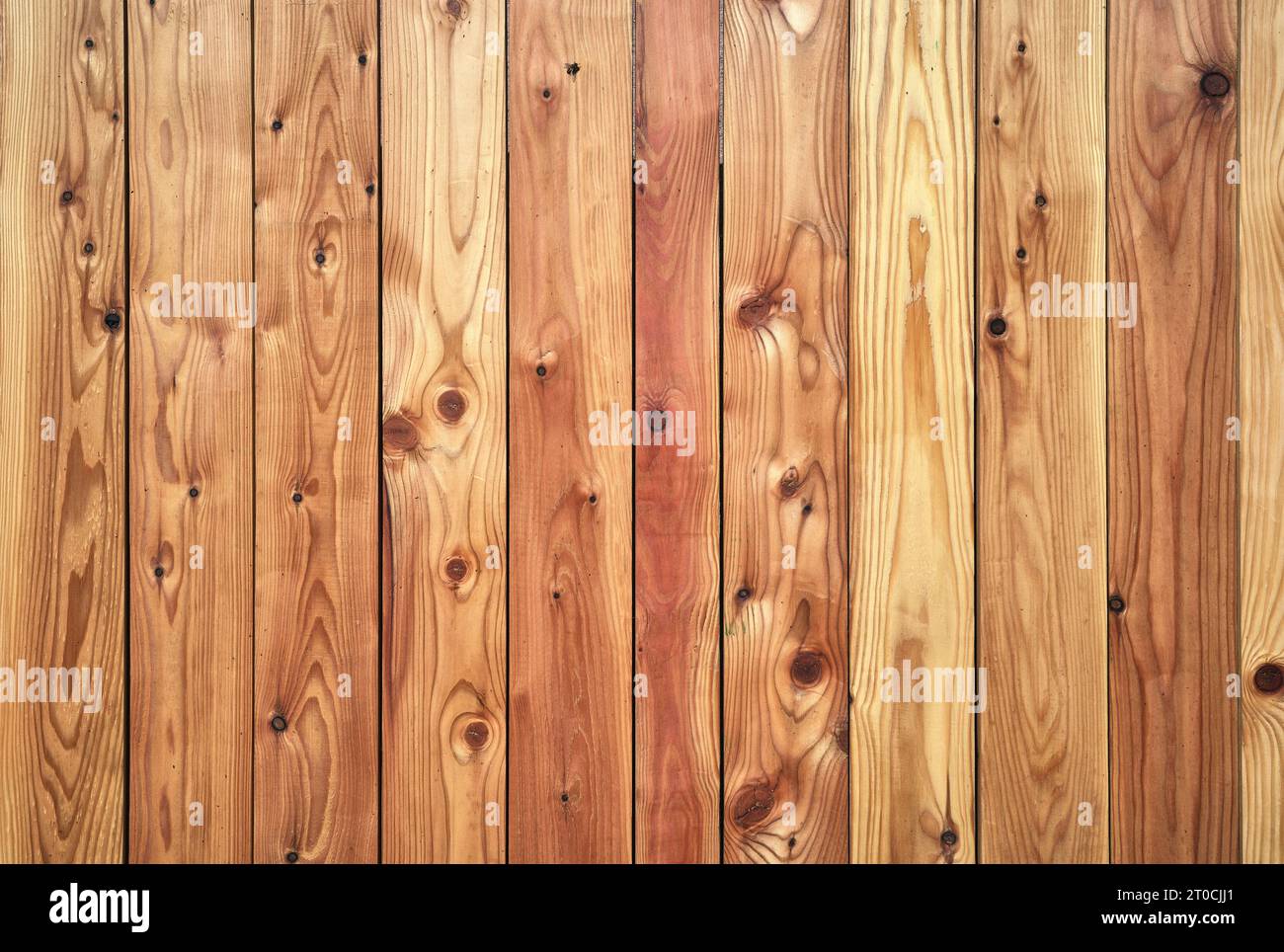 Pavimento in legno, parete di fondo. Foto Stock