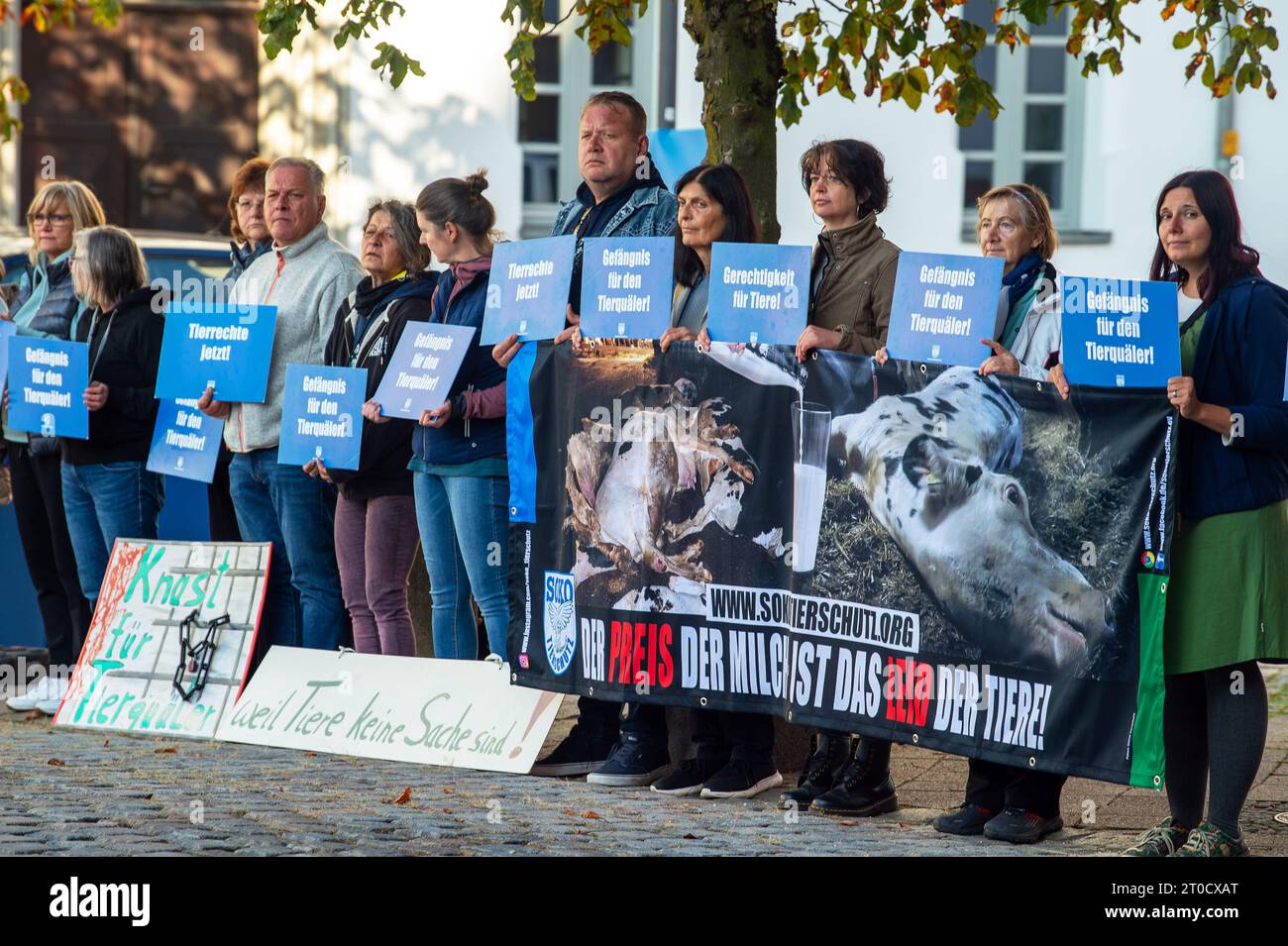 Memmingen, Germania. 6 ottobre 2023. Gli attivisti per i diritti degli animali manifestano contro la crudeltà degli animali davanti al tribunale regionale. Nel corso delle indagini penali sullo scandalo del benessere degli animali di Allgäu, due uomini e una donna devono rispondere delle loro azioni in un ulteriore processo. Gli imputati sono accusati di non aver garantito che i bovini bisognosi di cure fossero curati da un veterinario o uccisi. Crediti: Stefan Puchner/dpa/Alamy Live News Foto Stock