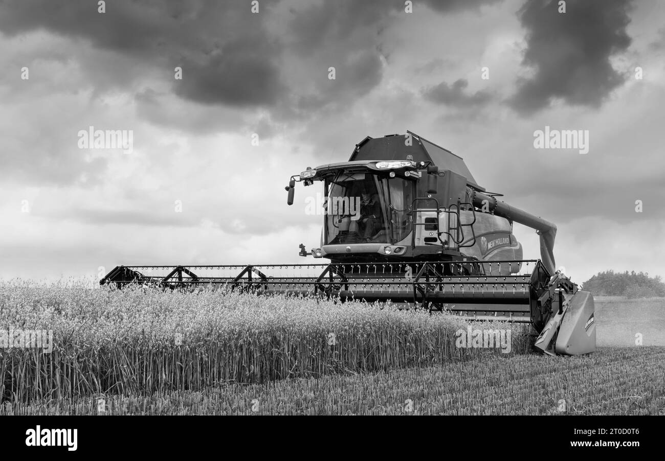 Mietitrebbia in funzione nel campo del grano in una bella mattinata estiva nelle campagne rurali di Beverley, Regno Unito. Foto Stock