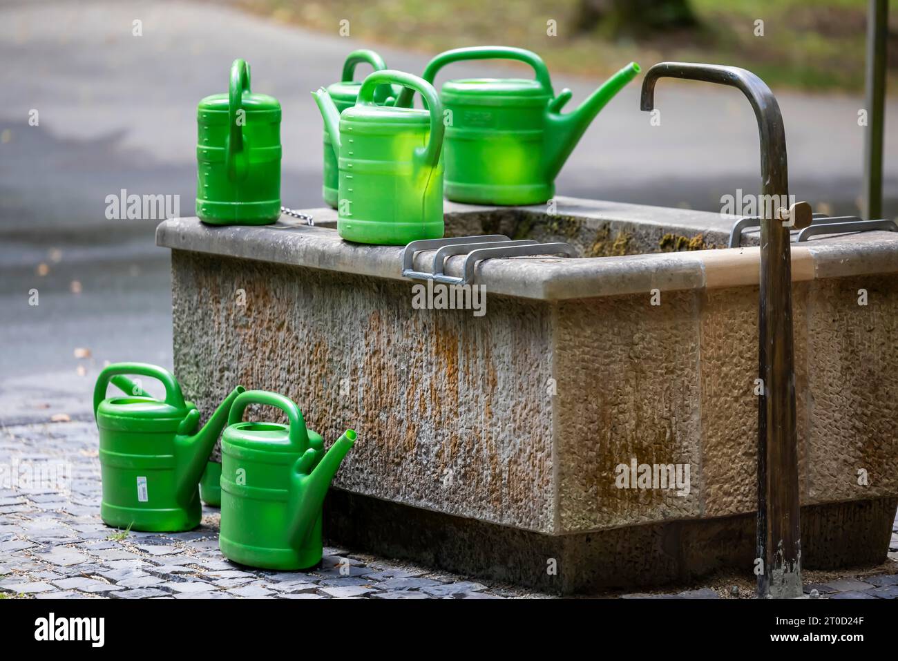 Luogo di irrigazione con lattine per la manutenzione delle tombe, cimitero, Baden-Wuerttemberg, Germania Foto Stock