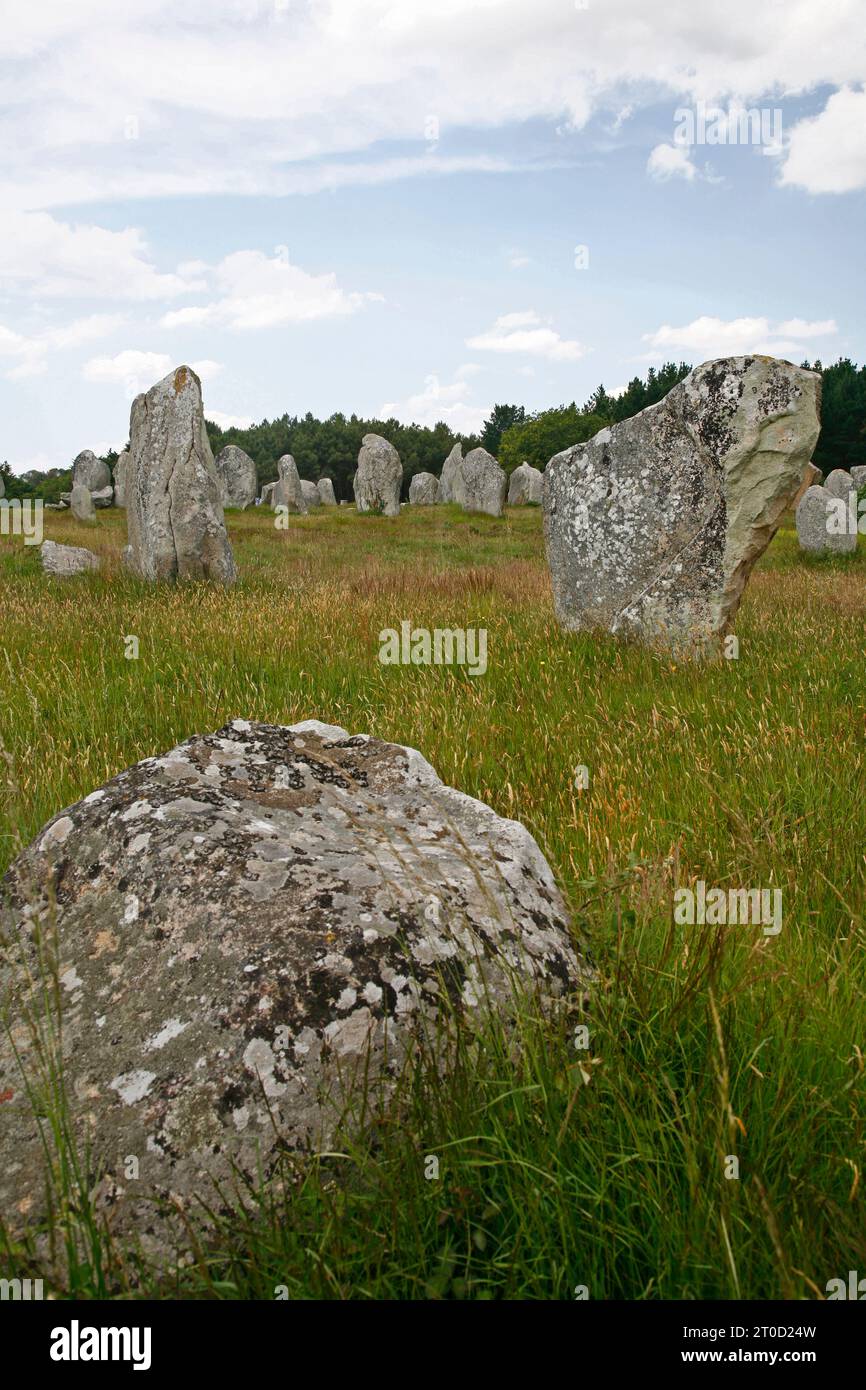 Allineamenti di pietre megalitiche de Kremario, Carnac, Morbihan, Bretagna, Francia. Foto Stock