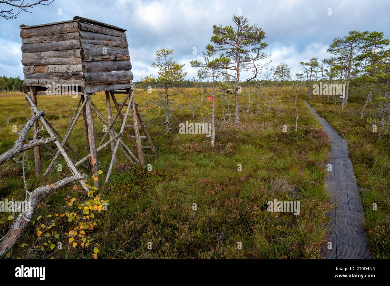 Torre di caccia in piedi nella grande Motala Svezia Foto Stock