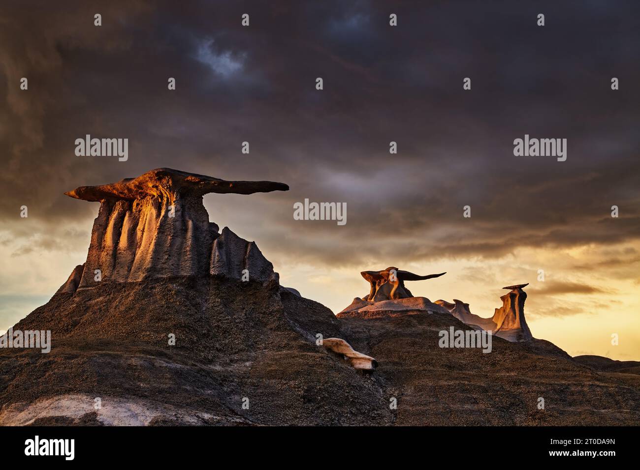 Ali di pietra, bizzarre formazioni rocciose in Bisti Badlands, Nuovo Messico, STATI UNITI D'AMERICA Foto Stock