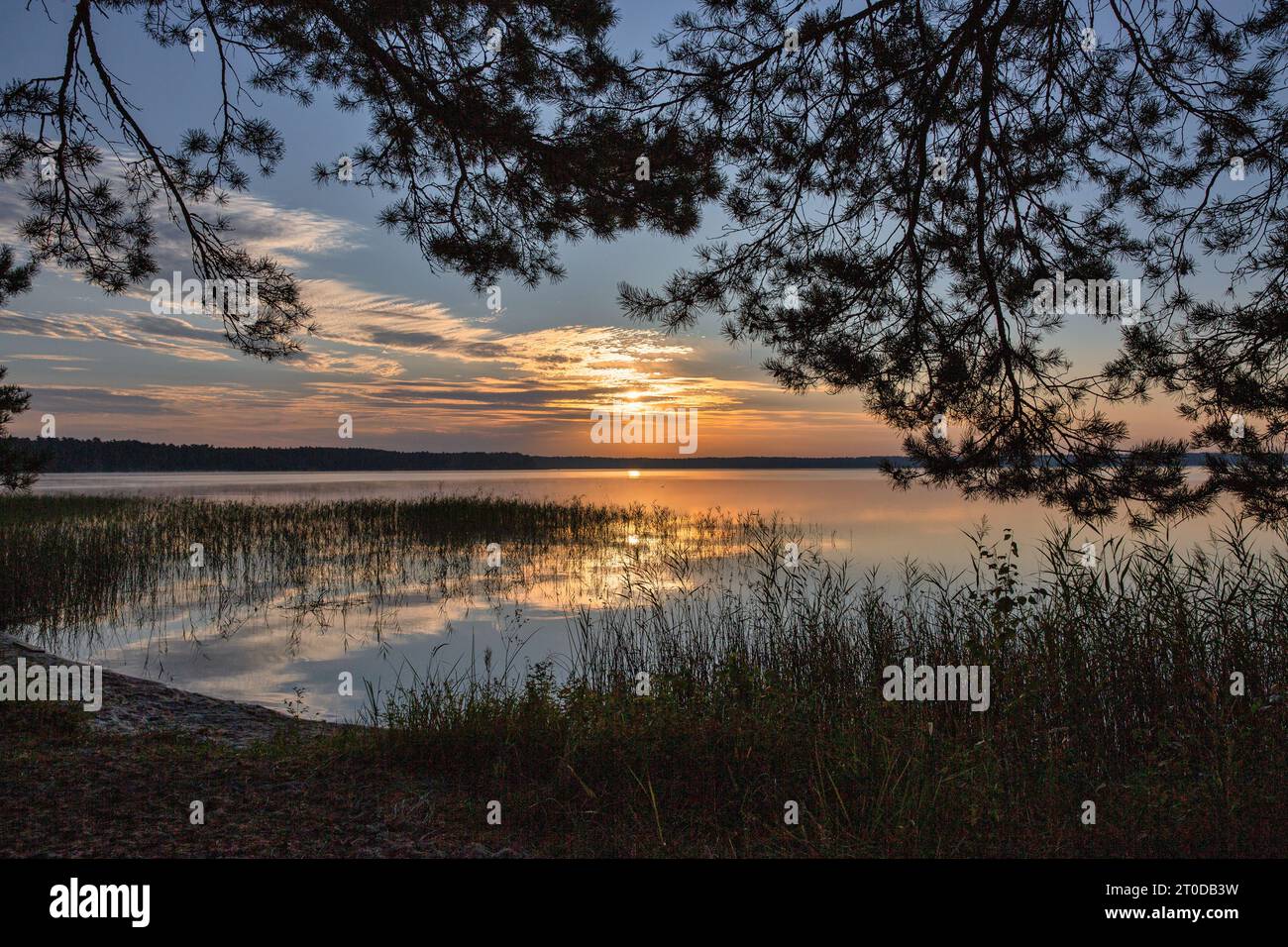 Sole all'alba che guarda attraverso le nuvole sul lago bianco nella regione di Rivne, Ucraina. Foto Stock