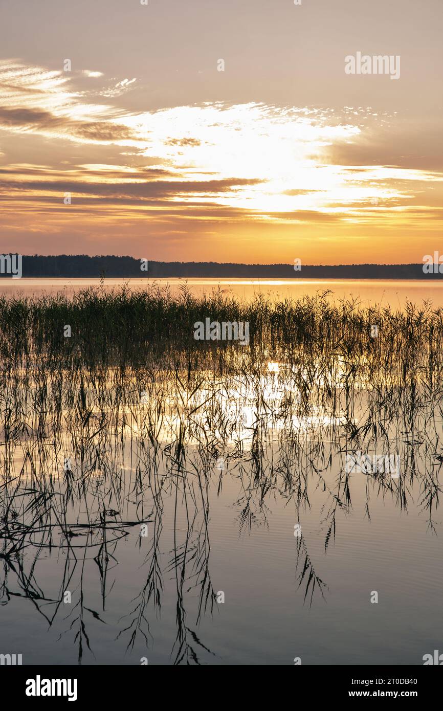 Sole all'alba che guarda le precipitazioni sul lago bianco nella regione di Rivne, Ucraina. Foto Stock
