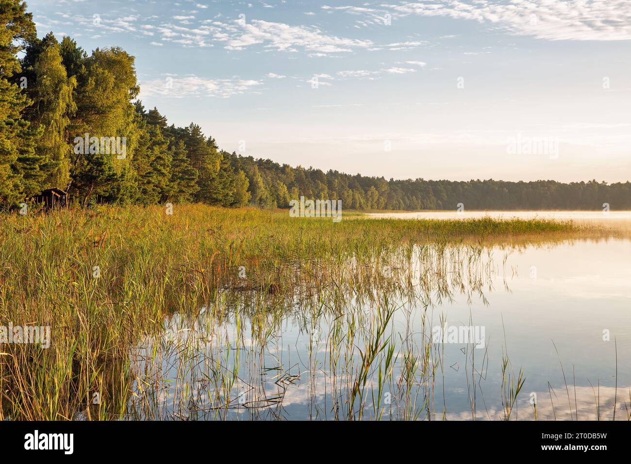 Vista panoramica sull'alba del lago bianco nella regione di Rivne, Ucraina. Foto Stock