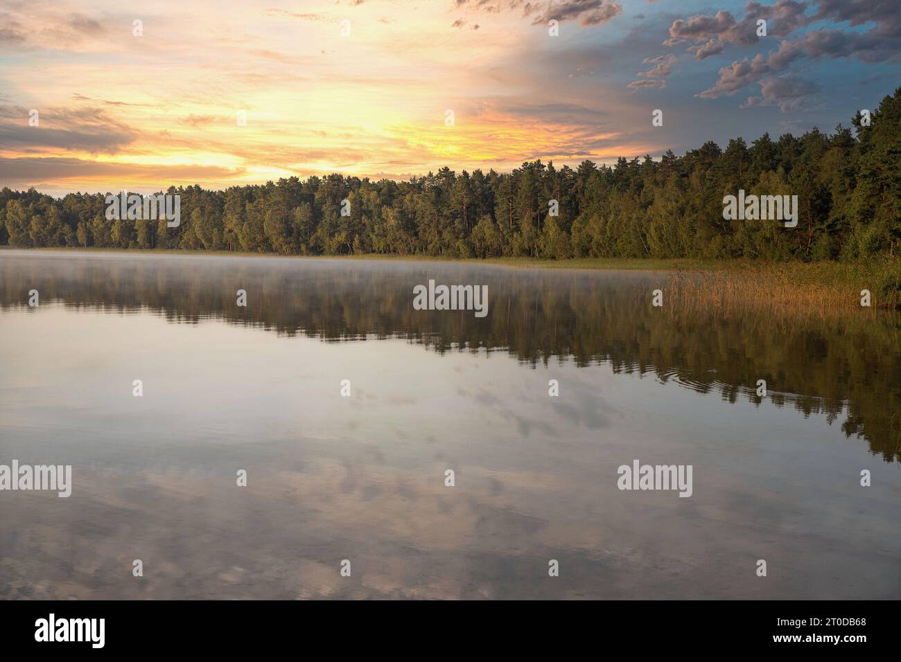 Vista panoramica sull'alba del lago bianco nella regione di Rivne, Ucraina. Foto Stock