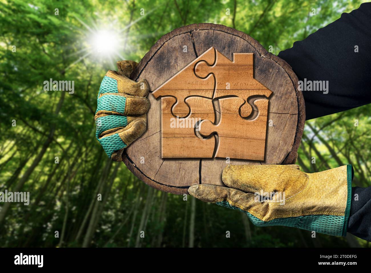 Mani con guanti da lavoro che reggono una sezione trasversale di un tronco di albero con una piccola casa in legno formata da pezzi di puzzle con una foresta verde. Foto Stock