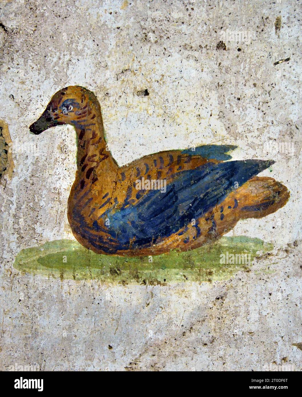 Uccelli - uccelli 10-45 d.C. la città romana di fresco Pompei si trova vicino a Napoli, nella regione Campania. Pompei fu sepolta sotto 4-6 m di cenere vulcanica e pomice nell'eruzione del Vesuvio nel 79 d.C. Italia Foto Stock