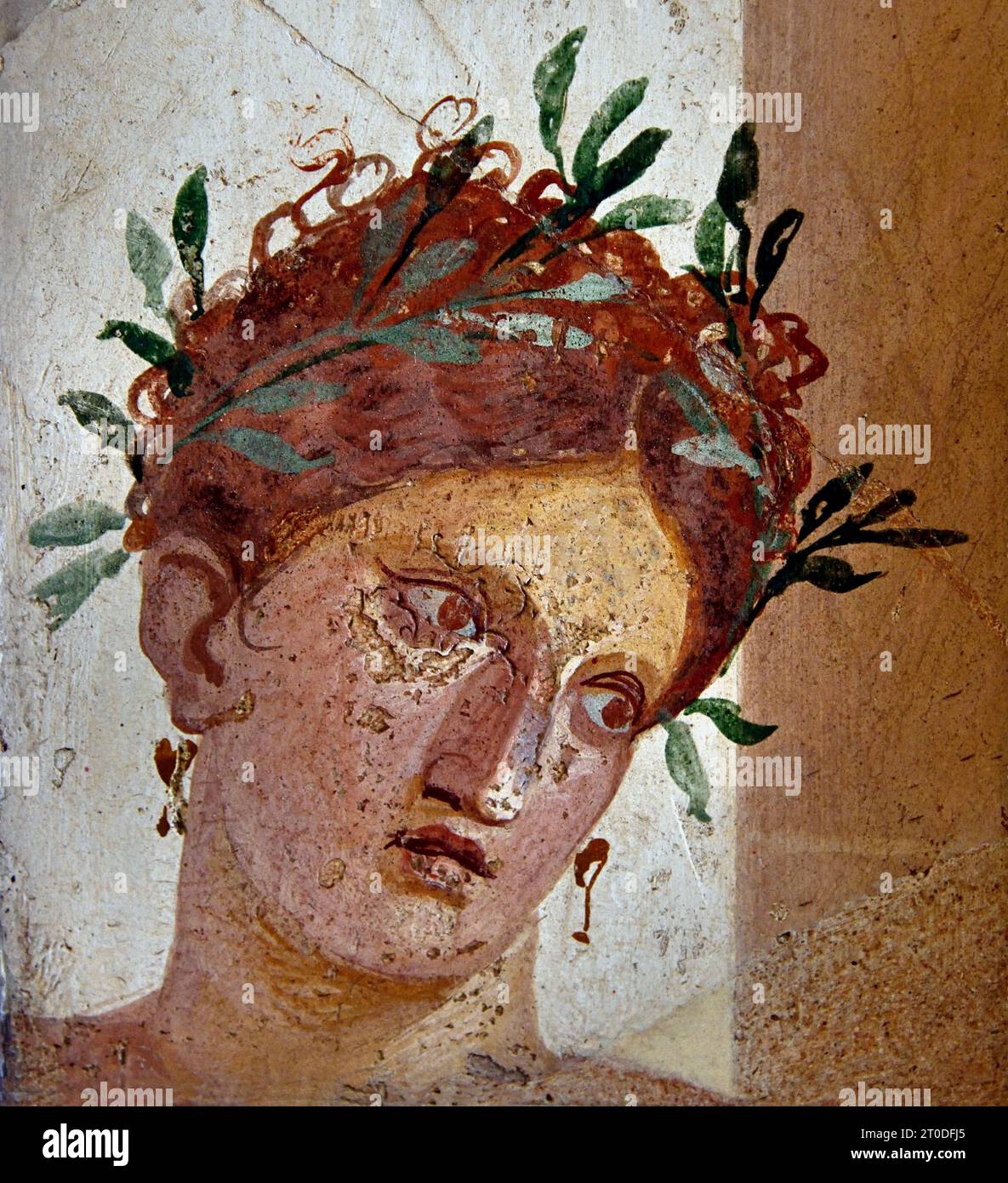 La città romana di fresco Pompei si trova vicino a Napoli, nella regione Campania. Pompei fu sepolta sotto 4-6 m di cenere vulcanica e pomice nell'eruzione del Vesuvio nel 79 d.C. Italia Foto Stock