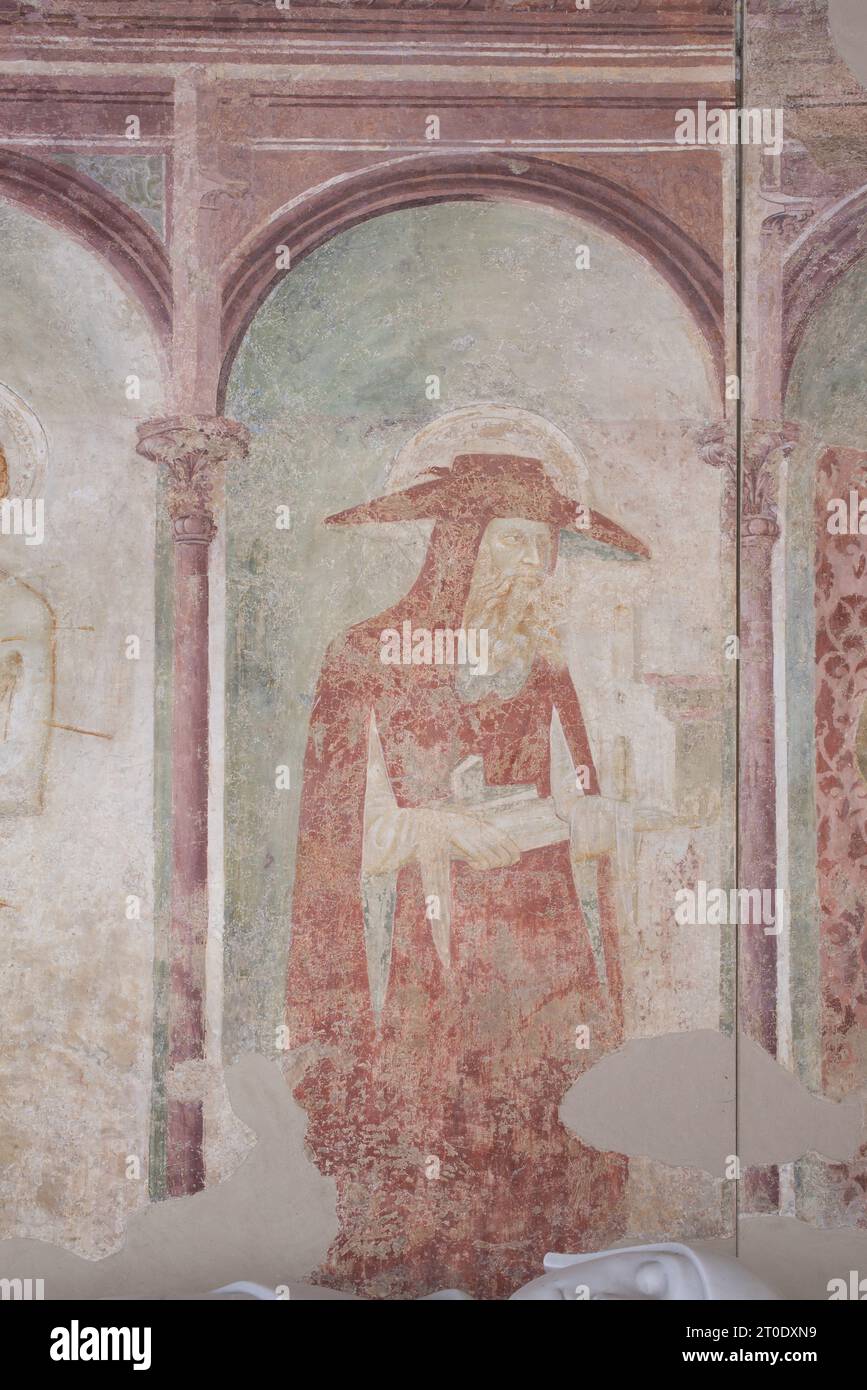 Falconara Marittima, località Castelferretti (Italia, Marche - provincia di Ancona), chiesa di Santa Maria della Misericordia. Interno, muro sinistro (proveniente dall'ingresso), San Girolamo, affreschi di metà XV secolo (1450-55), Maestro di Castelferretti (Giambono di Corrado da Ragusa?) Foto Stock