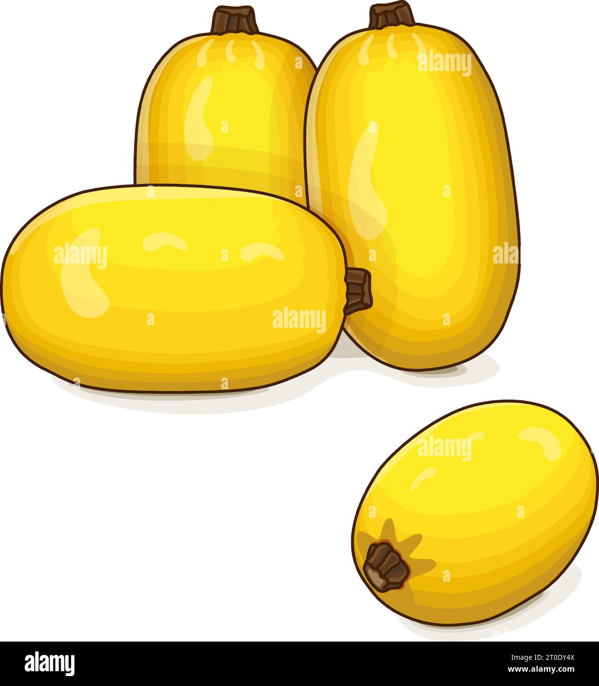 Gruppo di Orangetti Spaghetti squash. Squash invernale. Cucurbita pepo. Frutta e verdura. Clipart. Illustrazione vettoriale isolata. Illustrazione Vettoriale