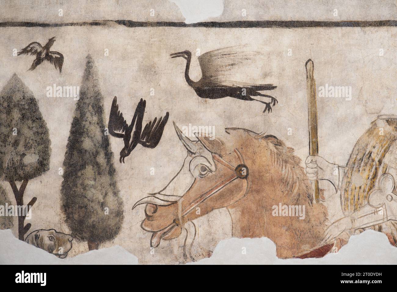 Esanatoglia (Italia, Marche - provincia di Macerata), Municipio (antico palazzo dei Duchi di Camerino, i da Varanos). Sala consiliare, ciclo di affreschi con soggetto "cortese", databile alla seconda metà del XV secolo, artista sconosciuto Foto Stock