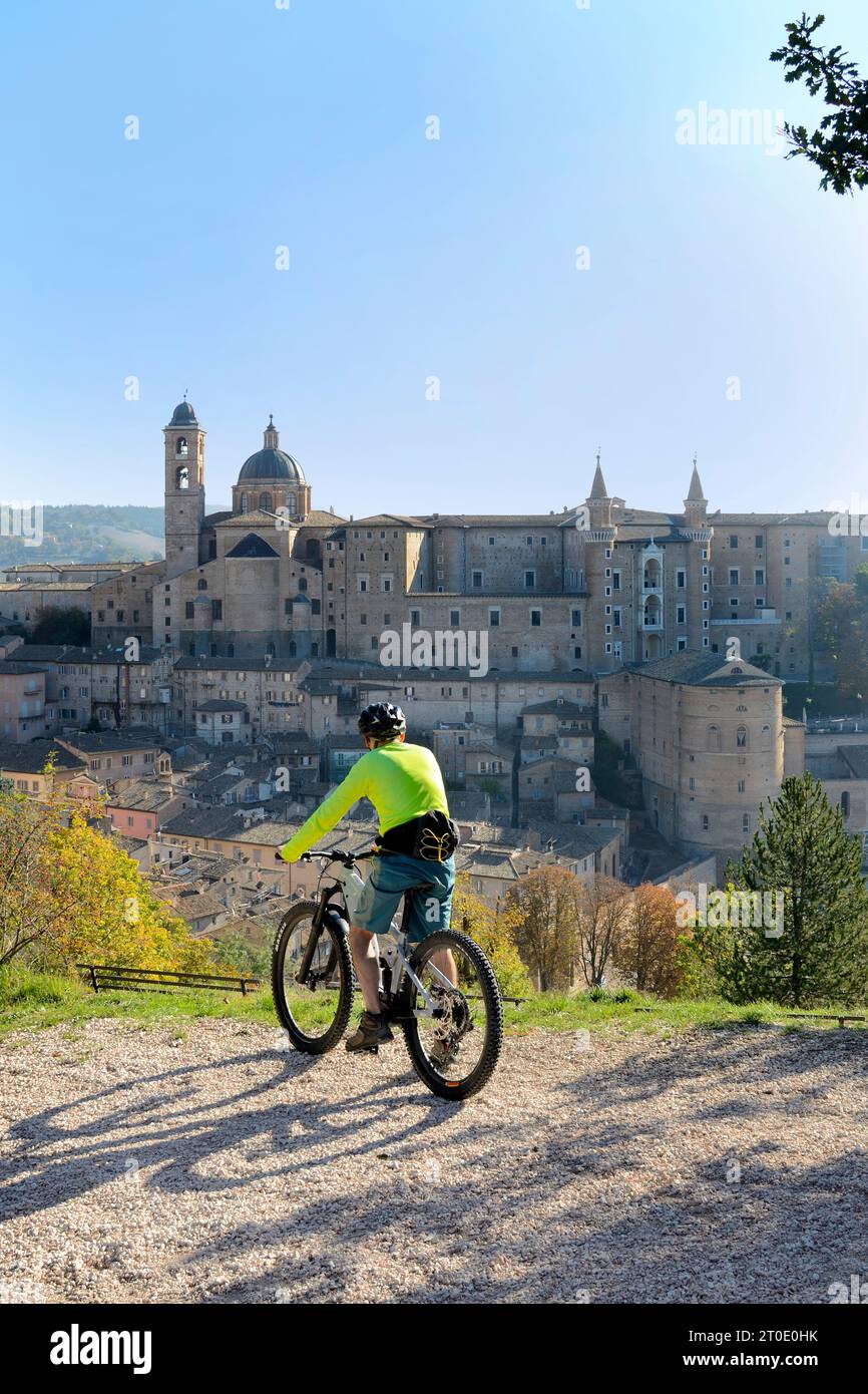Urbino (Marche - PU), escursione in bicicletta Foto Stock