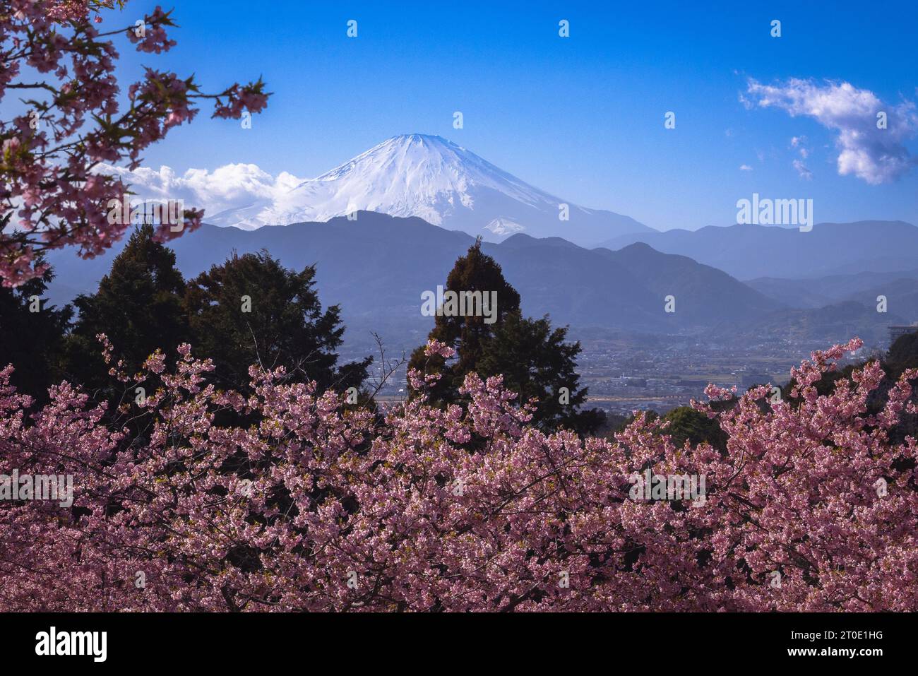 Il Parco Oi Yume-no-Sato è a soli 15 minuti di taxi dalla stazione di Shin-Matsuda sulla linea Odakyu, o a 60 - 70 minuti di auto da Tokyo sulla T Foto Stock