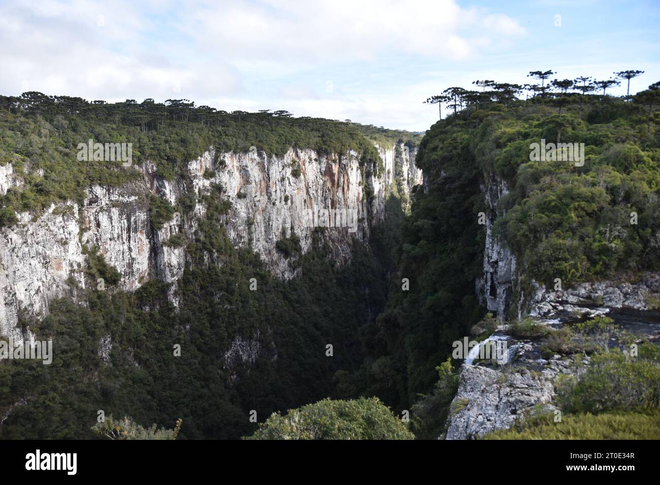 Cambará do sul - Rio grande do sul - Brasile Foto Stock