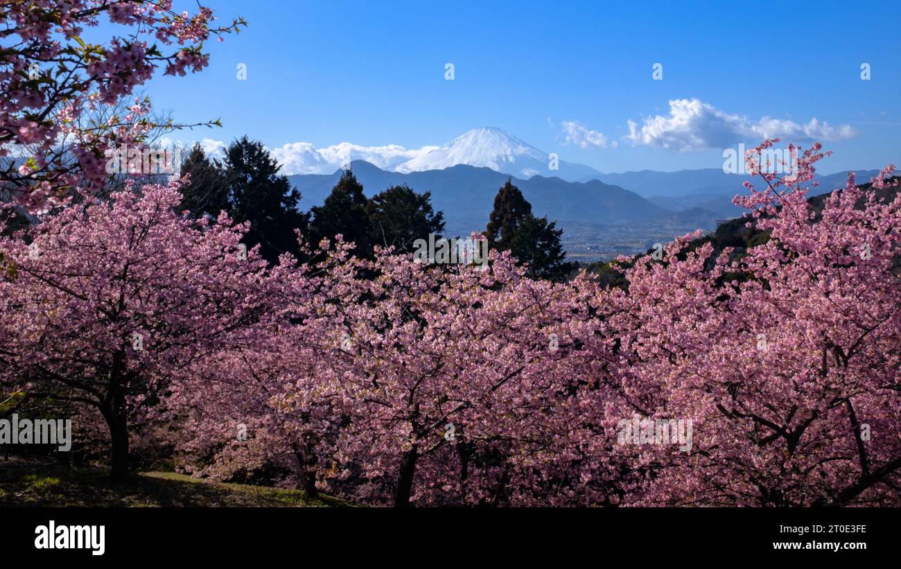 Il Parco Oi Yume-no-Sato è a soli 15 minuti di taxi dalla stazione di Shin-Matsuda sulla linea Odakyu, o a 60 - 70 minuti di auto da Tokyo sulla T Foto Stock