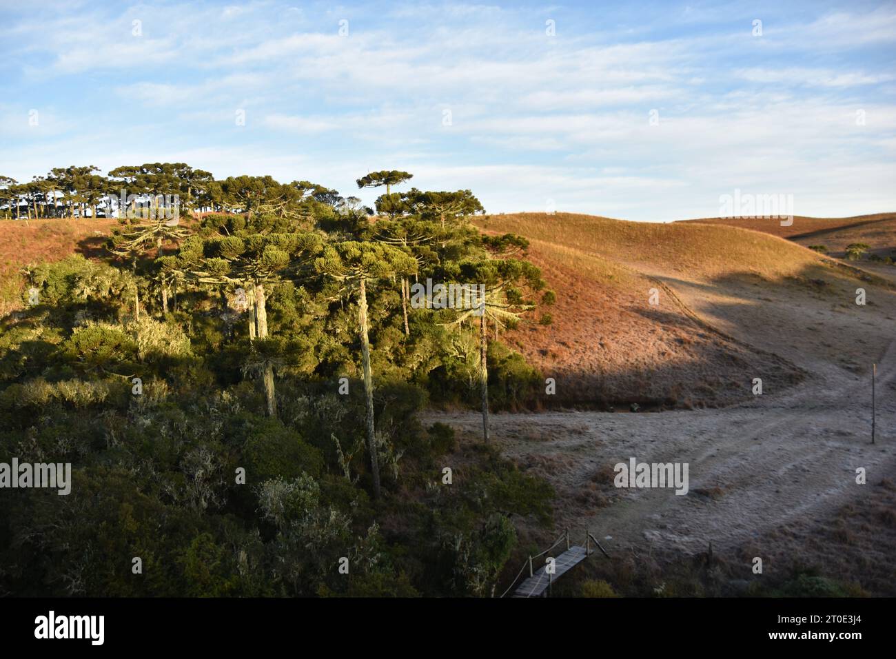 Cambará do sul - Rio grande do sul - Brasile Foto Stock