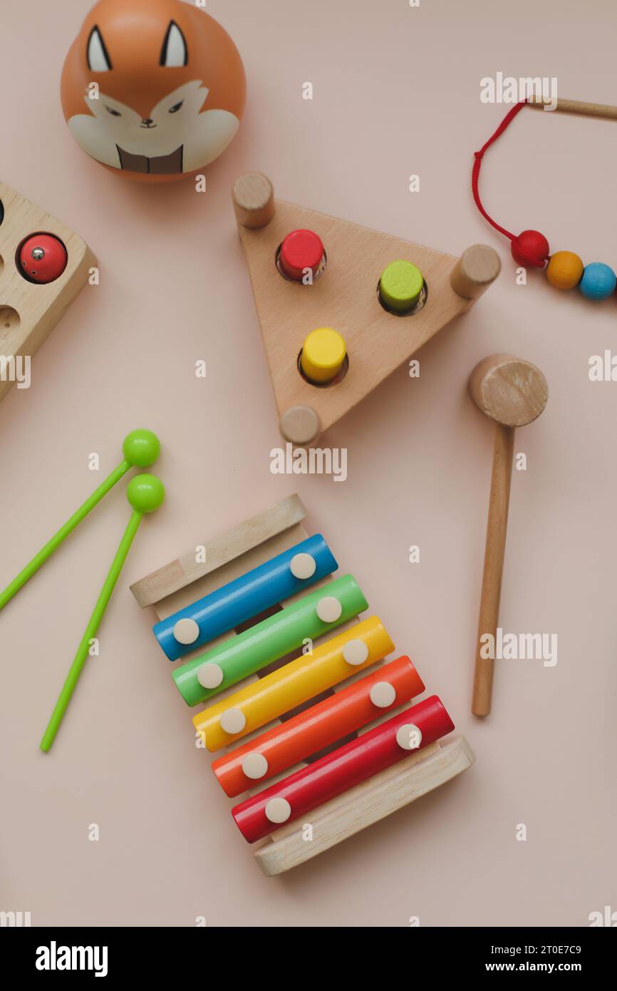 Giocattoli educativi ecologici in legno colorato secondo il metodo Montessori per bambini in età prescolare. Giocattoli in legno per bambini. Giocattoli logici educativi Foto Stock