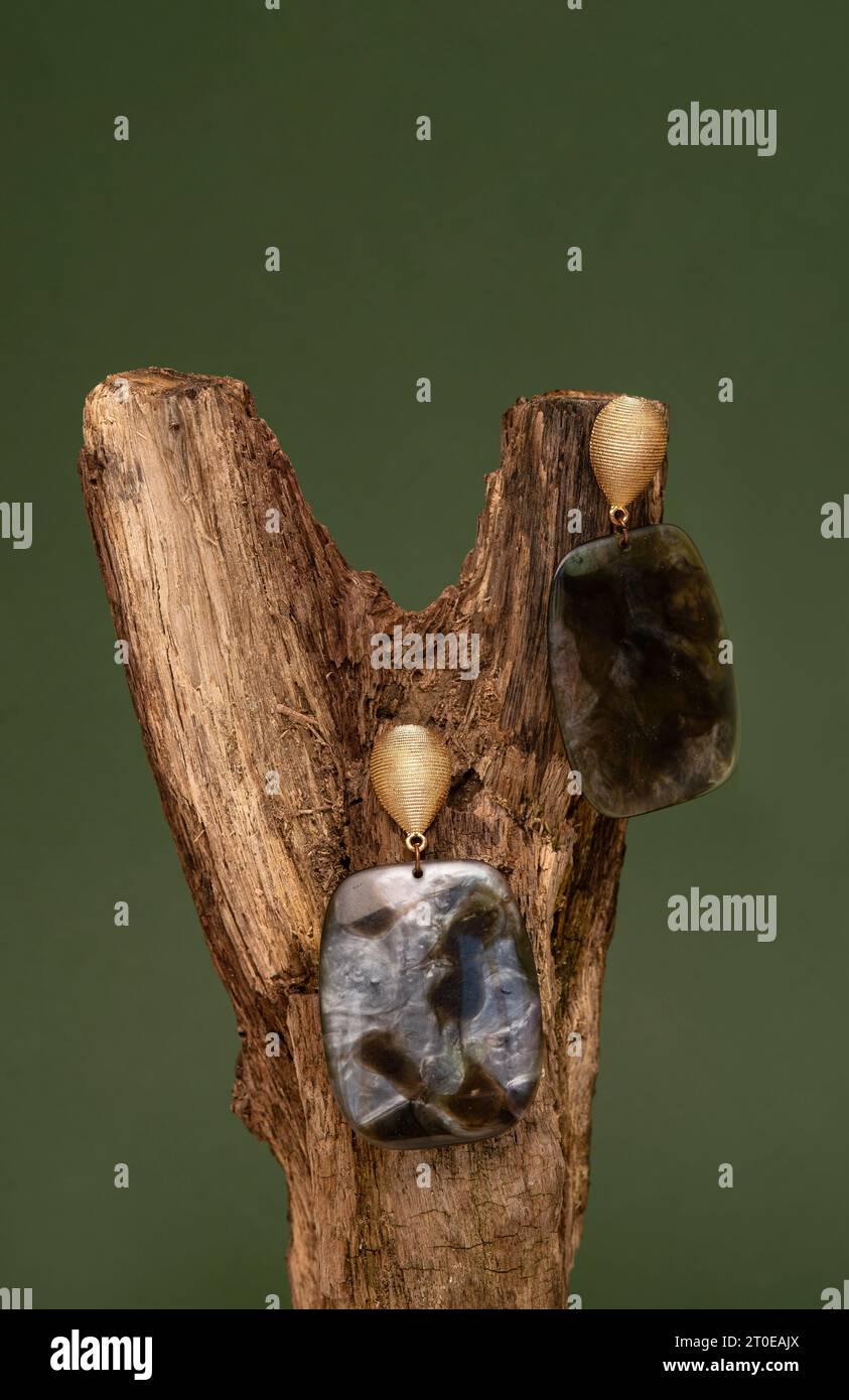 Orecchini eleganti su rametto di legno su sfondo beige. Concetto di fotografia di moda per gioielli. foto studio Foto Stock