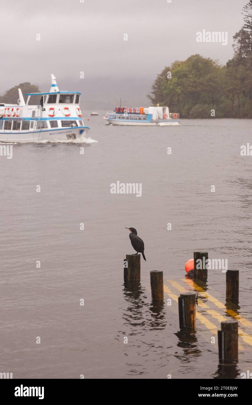 Windermere Cumbria, Regno Unito. 6 ottobre 2023. Meteo Lago Windermere i turisti si vestono per il vento forte e la pioggia forte credito: Gordon Shoosmith/Alamy Live News Foto Stock