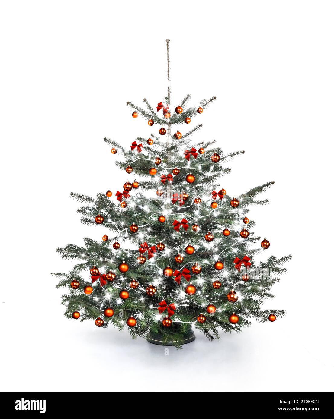 Albero di Natale decorato con luci da favola Foto Stock