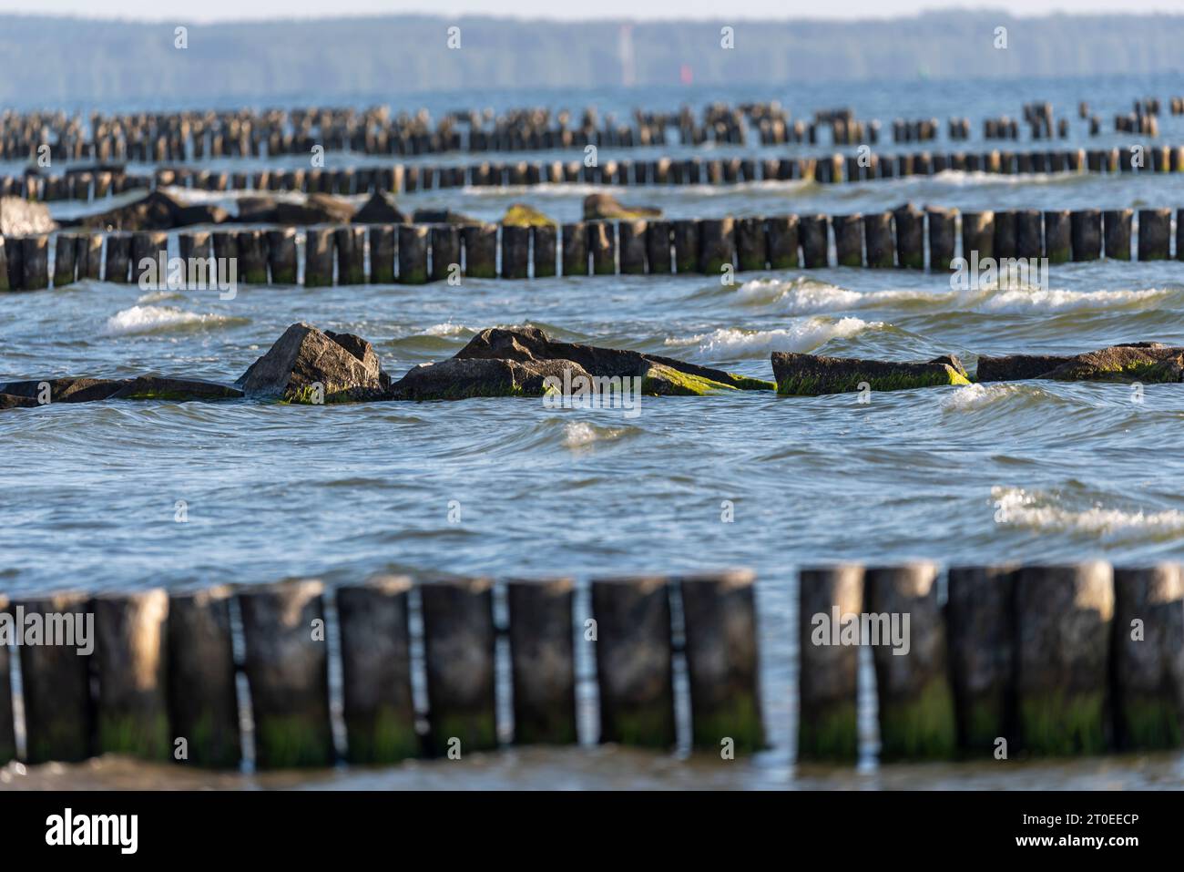 Groynes, frangiflutti, isola di Hiddensee, Meclemburgo-Pomerania occidentale, Germania Foto Stock