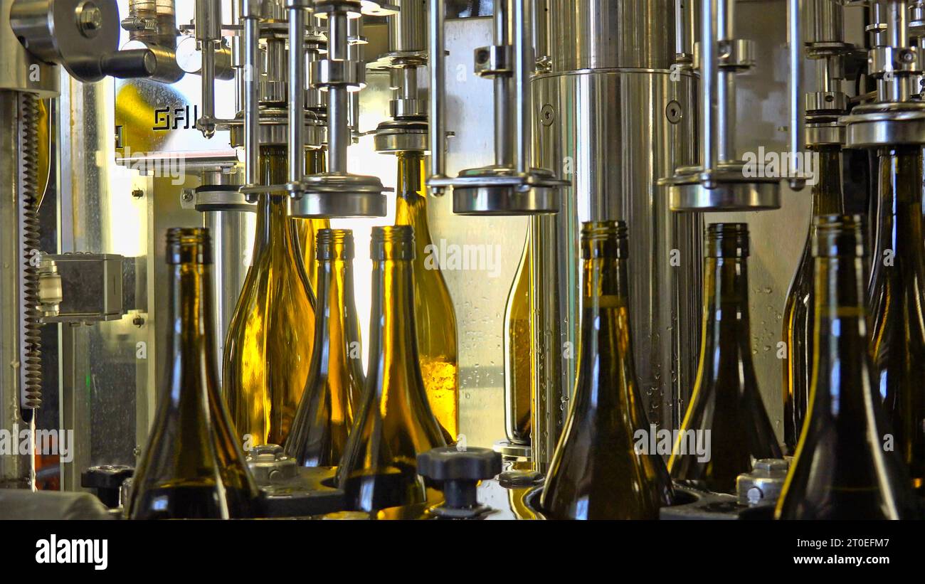 Imbottigliamento del vino con macchina di riempimento a Serrig, Saar, Saartal, Renania-Palatinato, Germania Foto Stock
